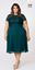 Picture of CURVY GIRL CHIFFON DRESS